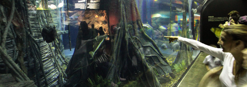 Medellin Aquarium (El Acuario)