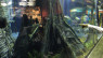 Medellin Aquarium (El Acuario)